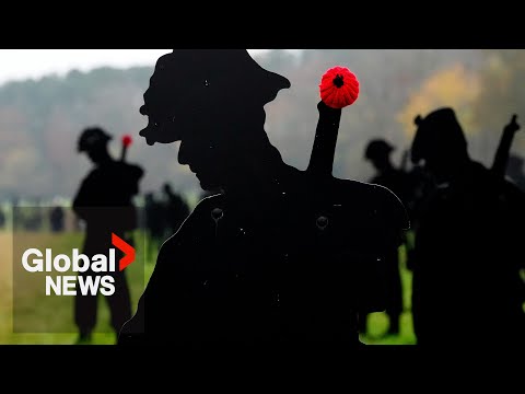 Remembrance Day: Nova Scotia school reverses no-military uniform request