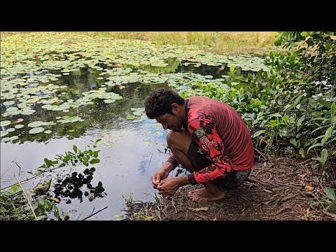 UM PARAÍSO NO MEIO DA MATA. LAZER COM TÁ LEGAL AVENTURA.