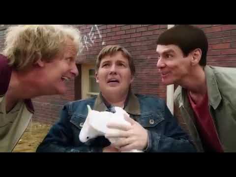 Dumb és Dumber 2. - Kettyó! - Teljes Film Magyarul! (Vígjáték)