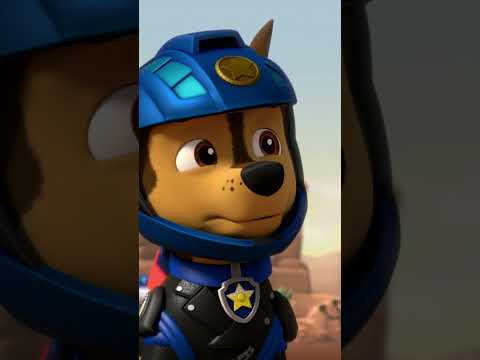 Vadmacska és a Motokutyik megmentik a vau vau bandát! - #PAWPatrol #shorts Hungary