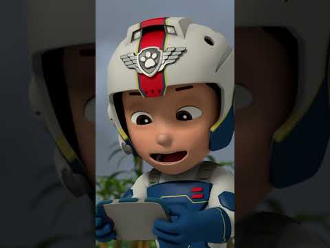 A kutyik visszahozzák az aranycsirkét és megmentik Tyúkicát! - #PAWPatrol #shorts Hungary