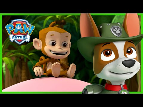 A lufimajmok megmentése - Mancs Őrjárat - PAW Patrol epizód Magyar rajzfilmek gyerekeknek