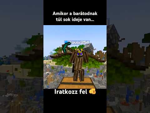 Amikor túl sok ideje van 🙄 #kattos #minecraft #vicces #minecraftmemes #minecraftmoments