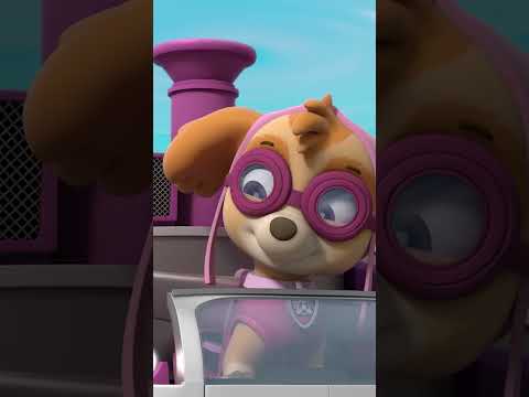 Skye megmenti Humdinger-t egy őrült helikopterből! - #PAWPatrol #shorts Hungary