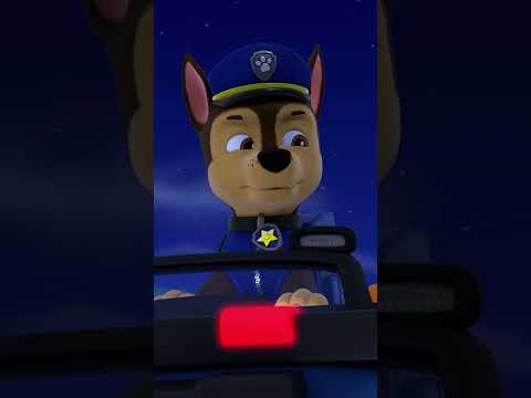 A kutyik segítenek egy polipnak visszatalálni az óceánba! - #PAWPatrol #shorts Hungary