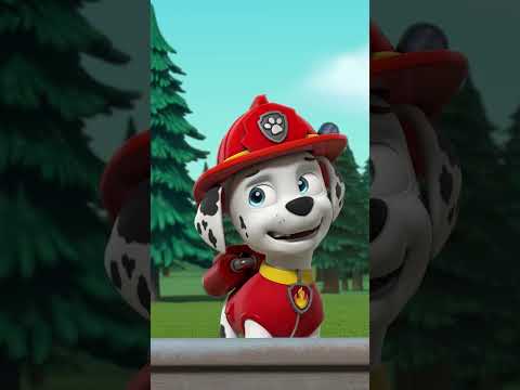 A kutyik visszahozzák az összes állatot a farmra! - #PAWPatrol #shorts Hungary