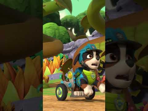 Rex és a Mancs őrjárat megment egy dinoszaurusz-babát! - #PAWPatrol #shorts Hungary