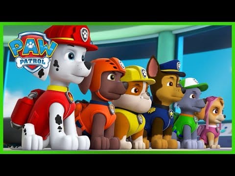 A pite-nádó - Mancs Őrjárat - PAW Patrol epizód Magyar rajzfilmek gyerekeknek