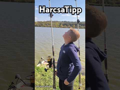 HarcsaTipp.🍂👌👍 Mi zavarja a harcsát? Mysticat Team Modern Harcsázás 👀