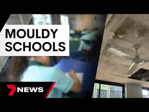 Queensland schools are grappling with rapidly growing mould outbreaks | 7 News Australia